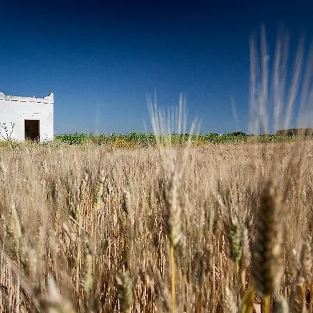 Tenuta Del Barco Winerestaurant And Hospitality * Pulsano