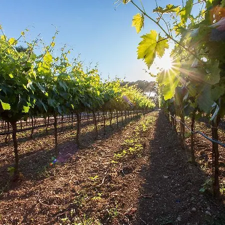 Tenuta Del Barco Winerestaurant And Hospitality